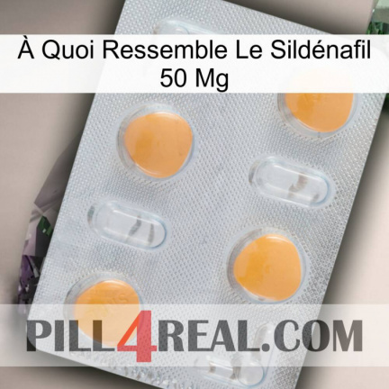 À Quoi Ressemble Le Sildénafil 50 Mg 24